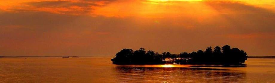 Heading image for War of the Mutant 14